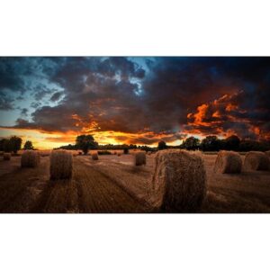 1 samsung vmb-u digital display signage